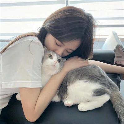 硬骨头